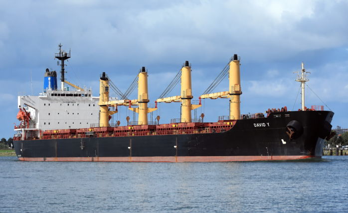 Bulk Carrier DAVID Y