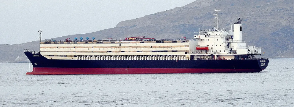 Livestock Carrier GOODNESS 1
