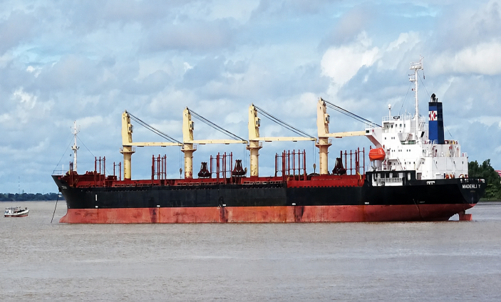 Bulk Carrier MADENLI Y
